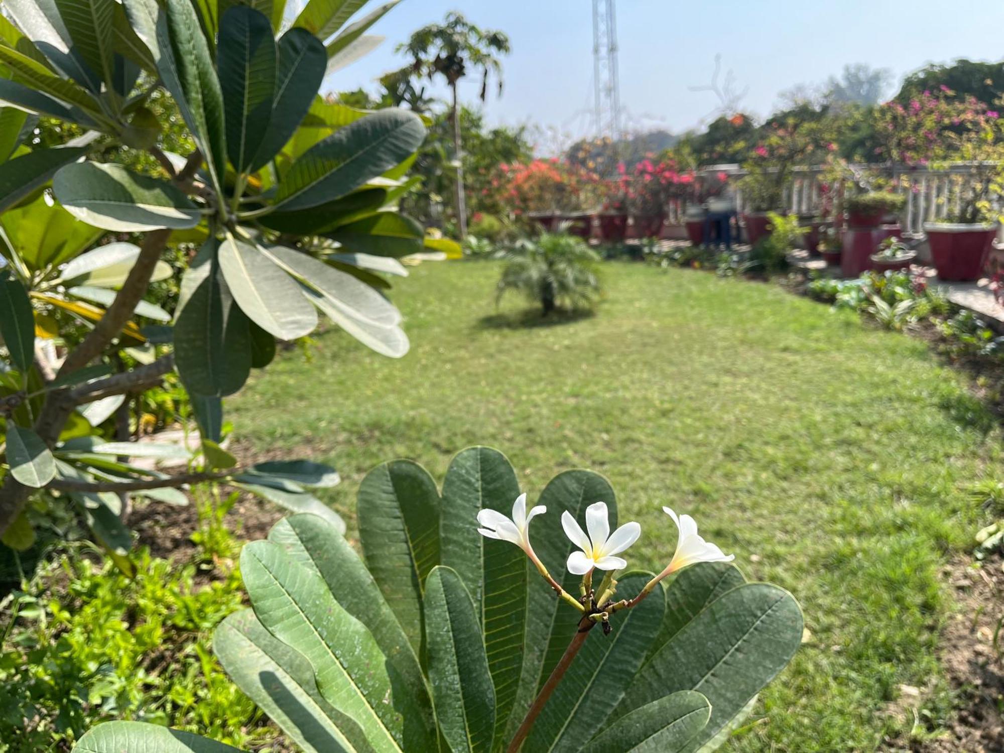 Mulberry Garden Hotel พาราณสี ภายนอก รูปภาพ